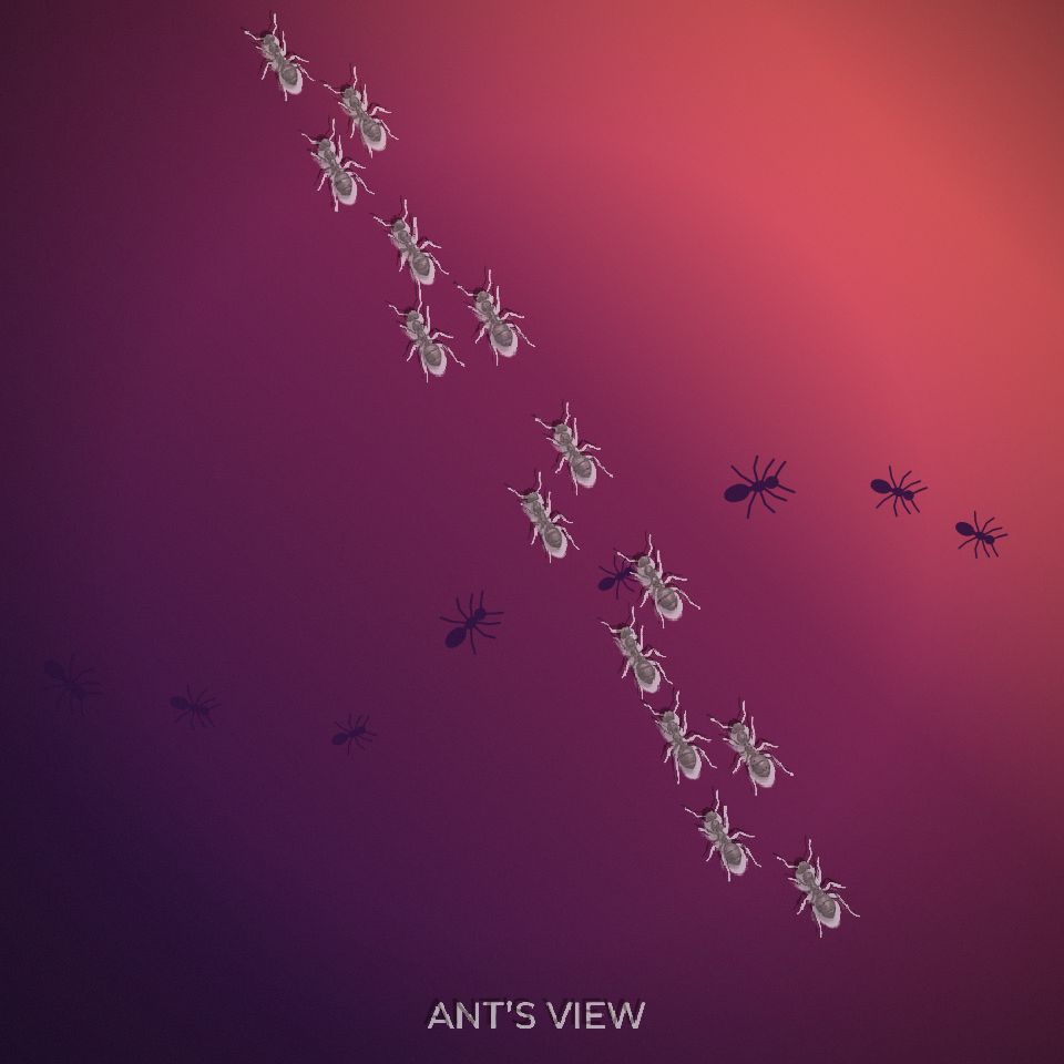 Ant kingdom