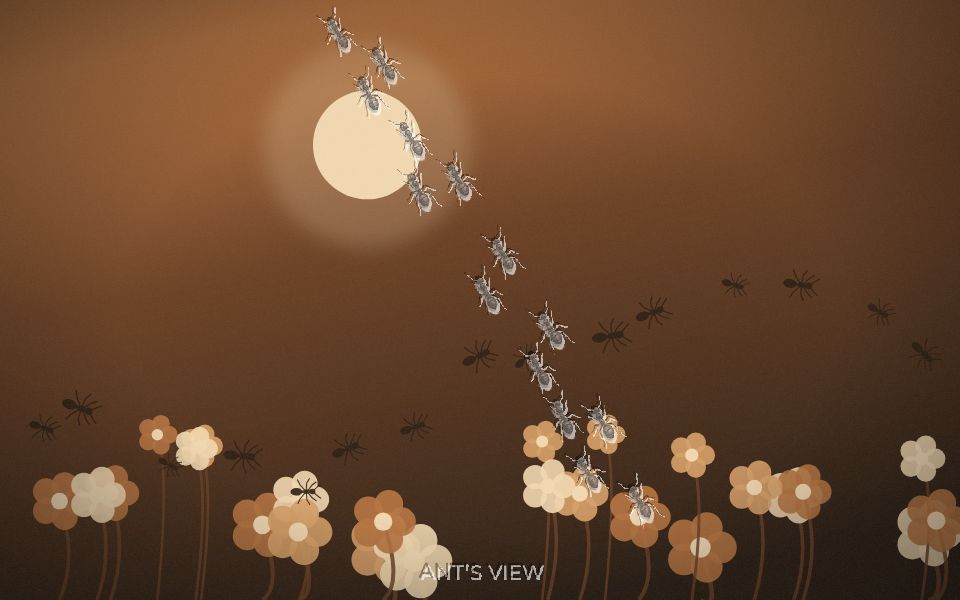 Ants at work