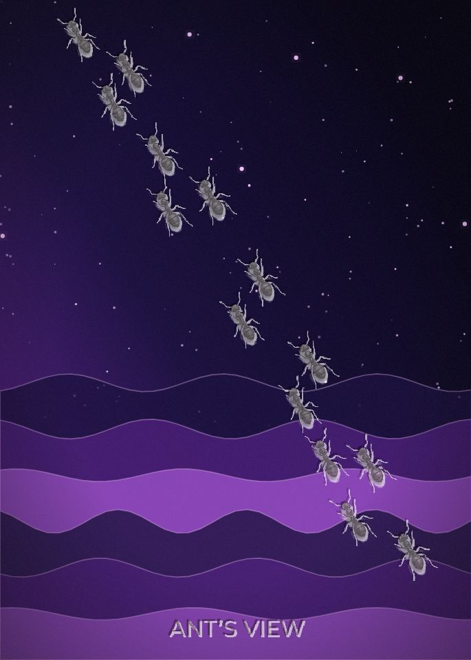 Cosmic tide
