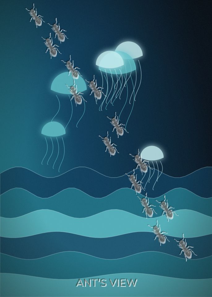 Deep-sea lanterns