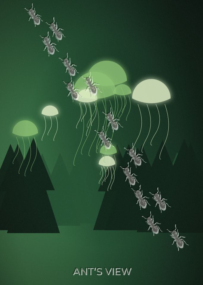 Glass forest