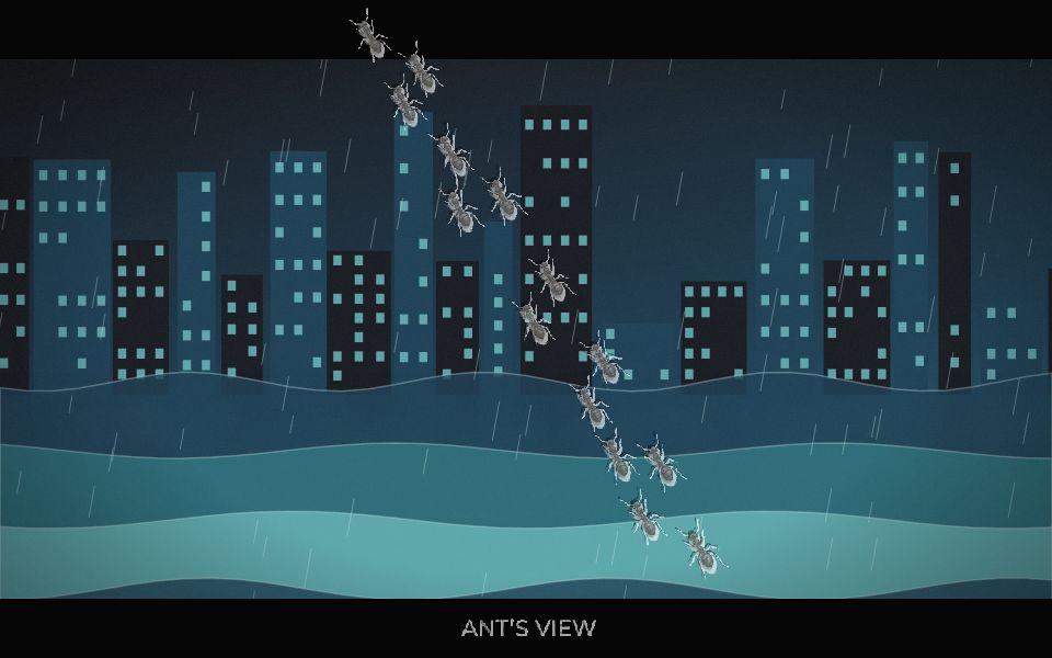 Monsoon city