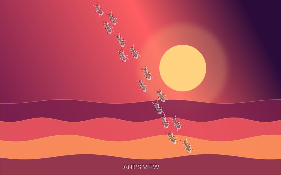Solar flare study