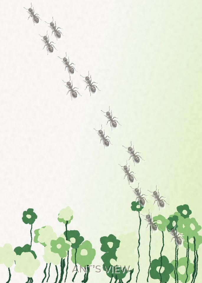 Wildflower study