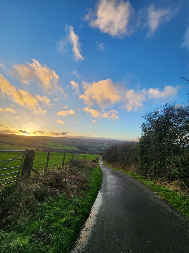 Lane to the dale