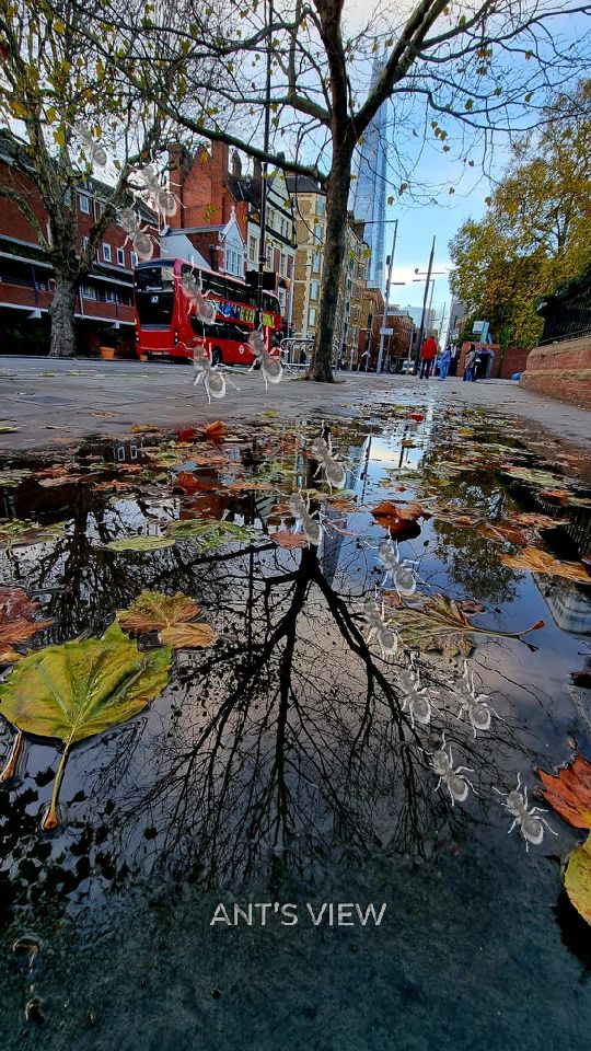 London, upside down