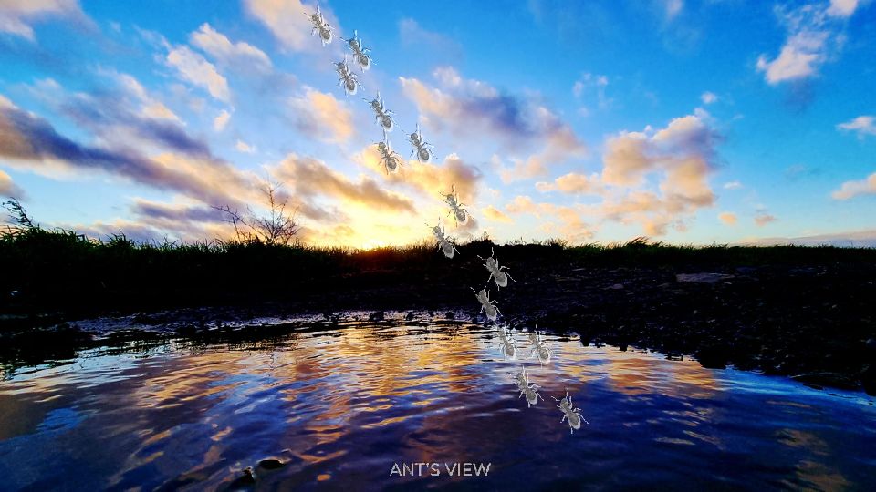 Sunset in the rock pool